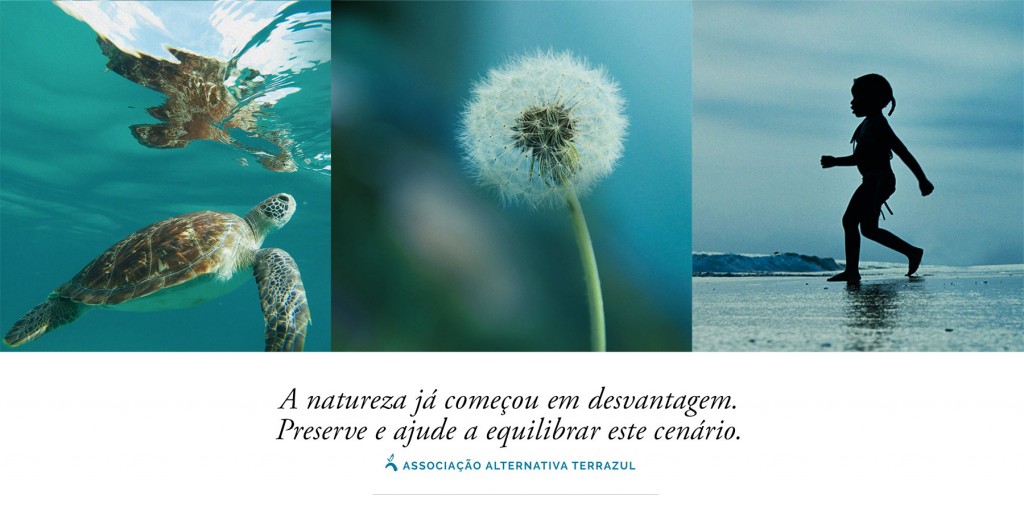 terrazul_home_azul1.jpg