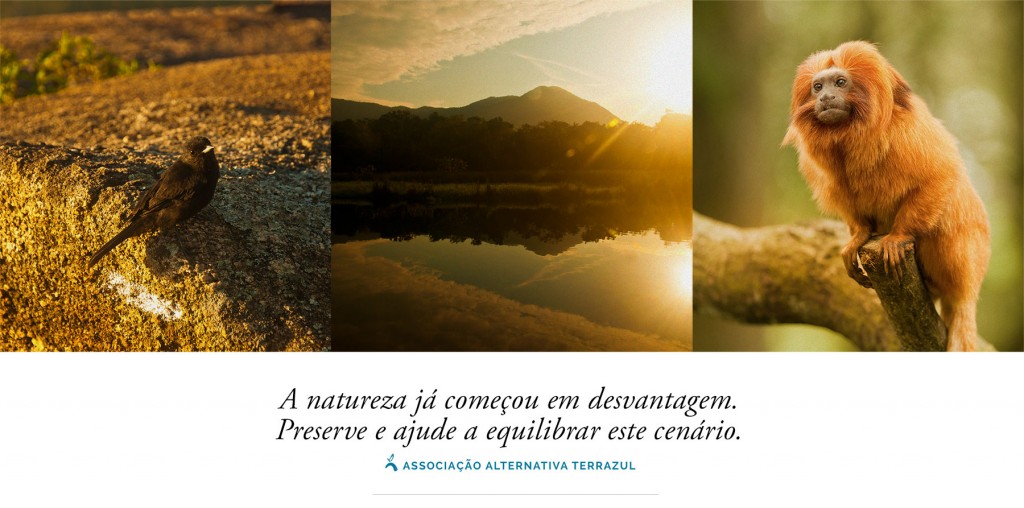 terrazul_home_laranja