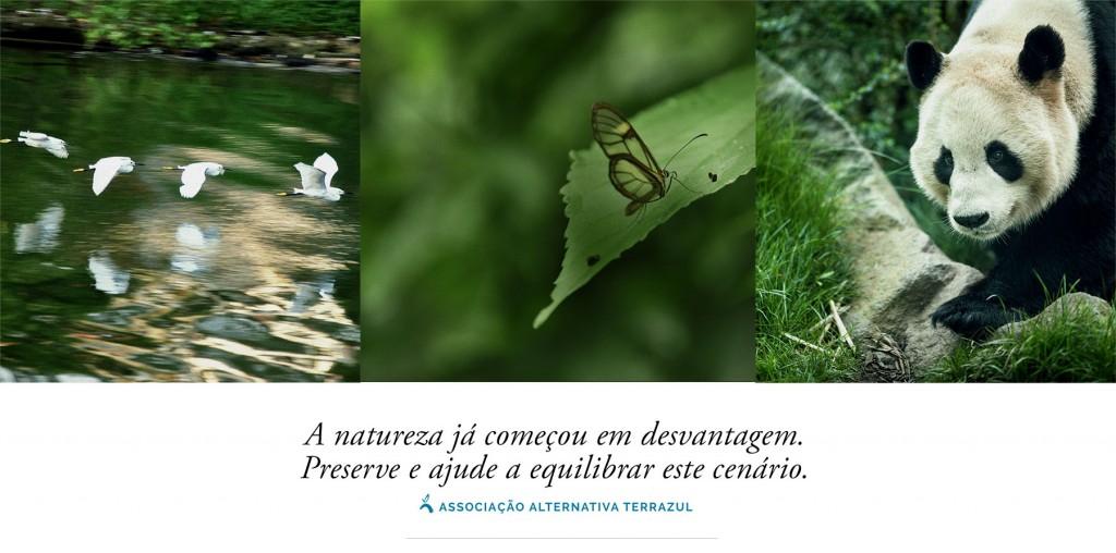 terrazul_home_verde