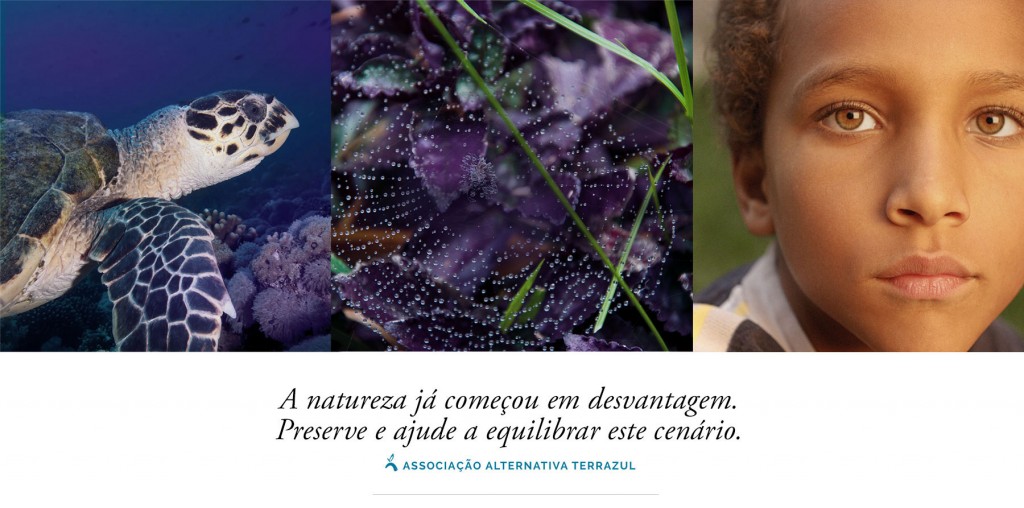 terrazul_home_roxo