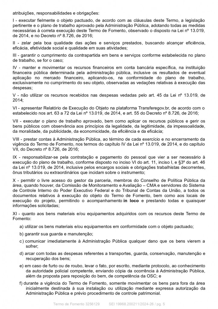 SEI_3256129_Termo_de_Fomento (1)_page-0005
